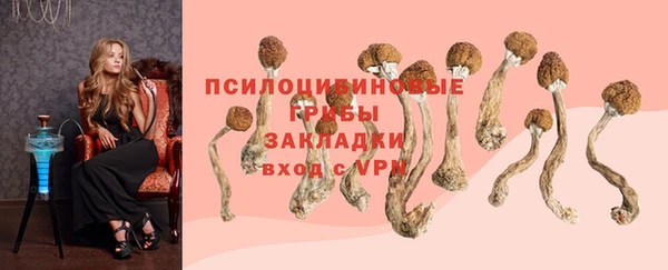 каннабис Алексеевка