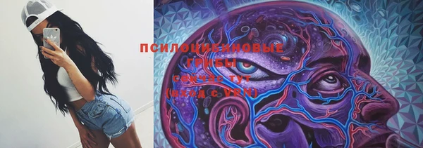 каннабис Алексеевка
