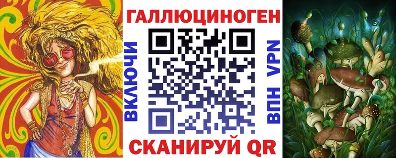 как найти закладки  Минусинск  Псилоцибиновые грибы Cubensis 