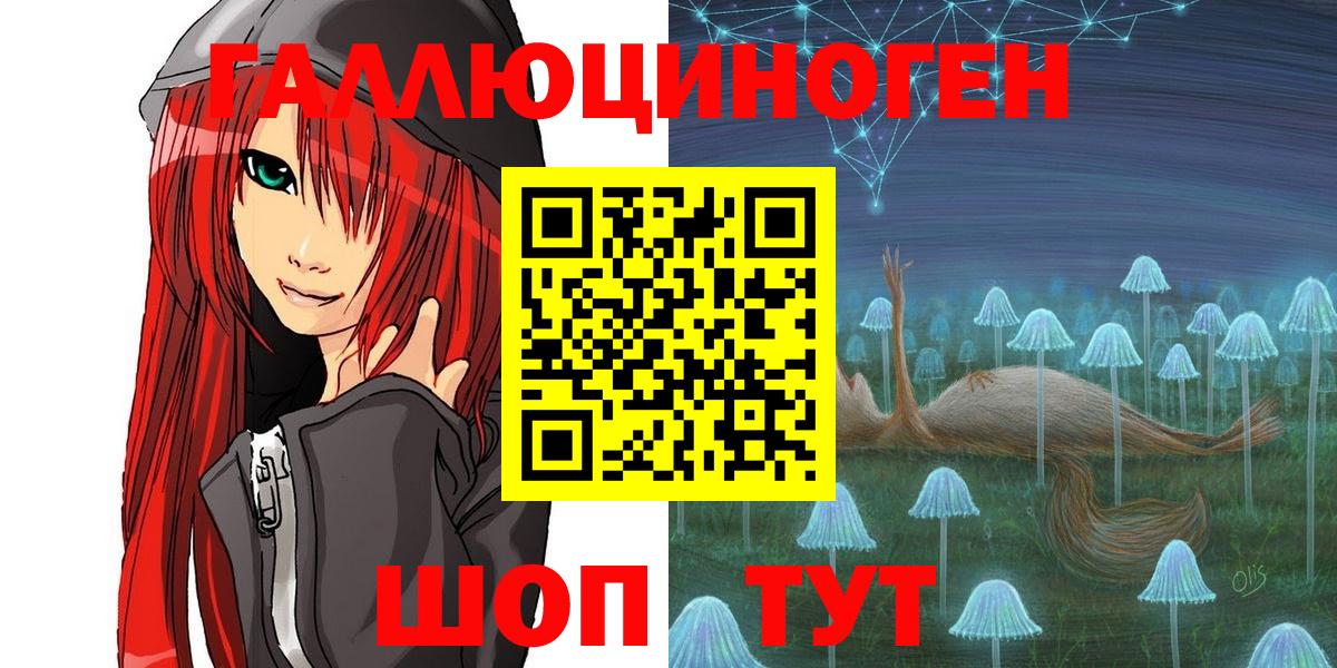Минусинск  Галлюциногенные грибы Psilocybe  Вход с VPN 